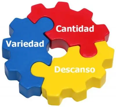 Claves Estancamiento Deportivo